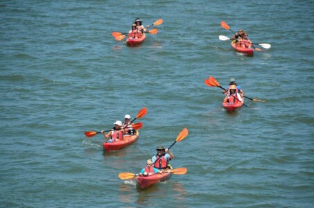 Canoë dans la Vienne