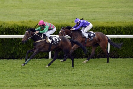 Hippodrome de la Gâtinière